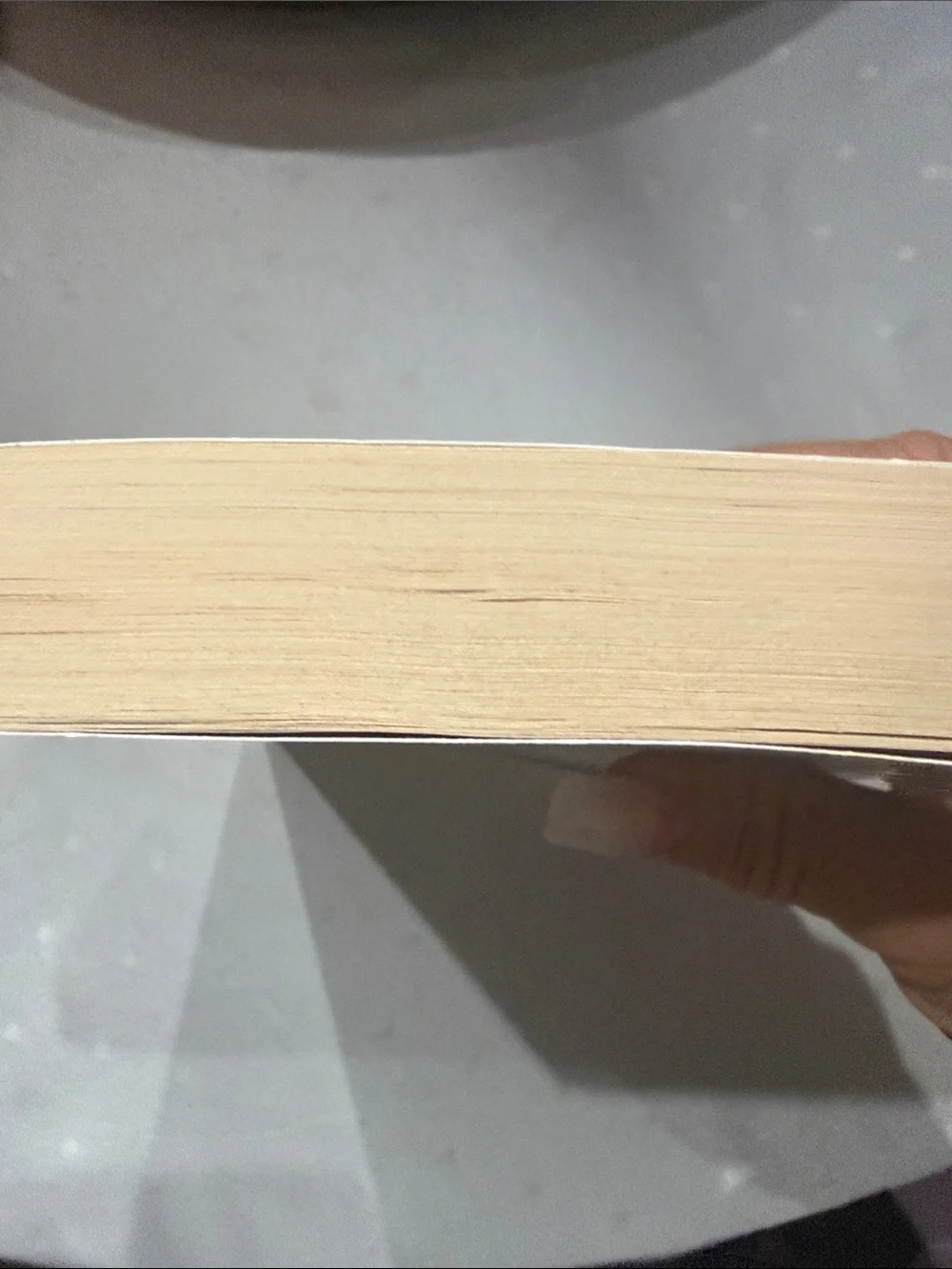“The Kept” a novel by James Scott